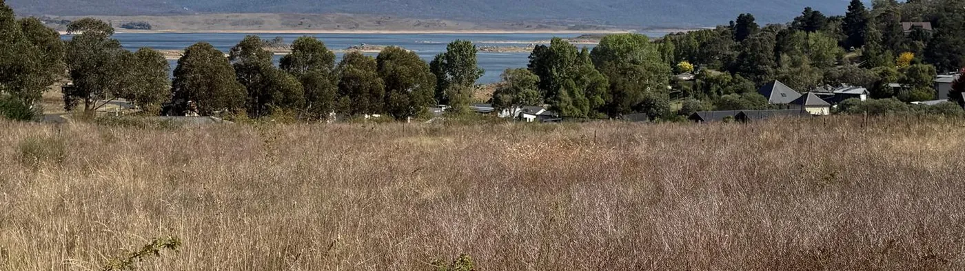 Eucalypts, native grassland and Lake Jindabyne across the 20 Acacia Place land